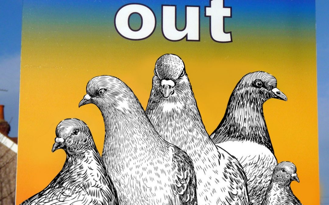 New Neighbourhood Watch Signs in London