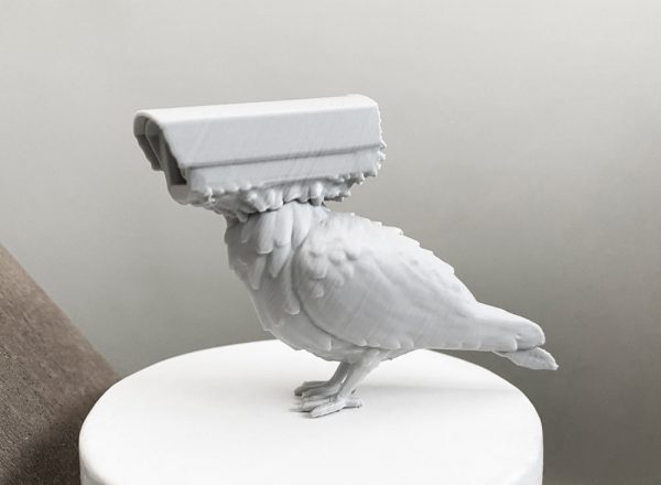 Pigeons Aren't Real Model