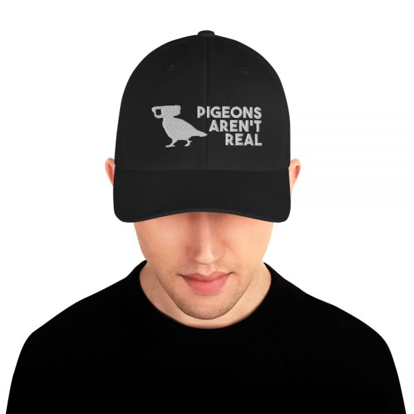 Pigeons Aren't Real Hat