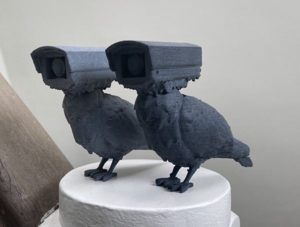 surveillance pigeon model grey & black