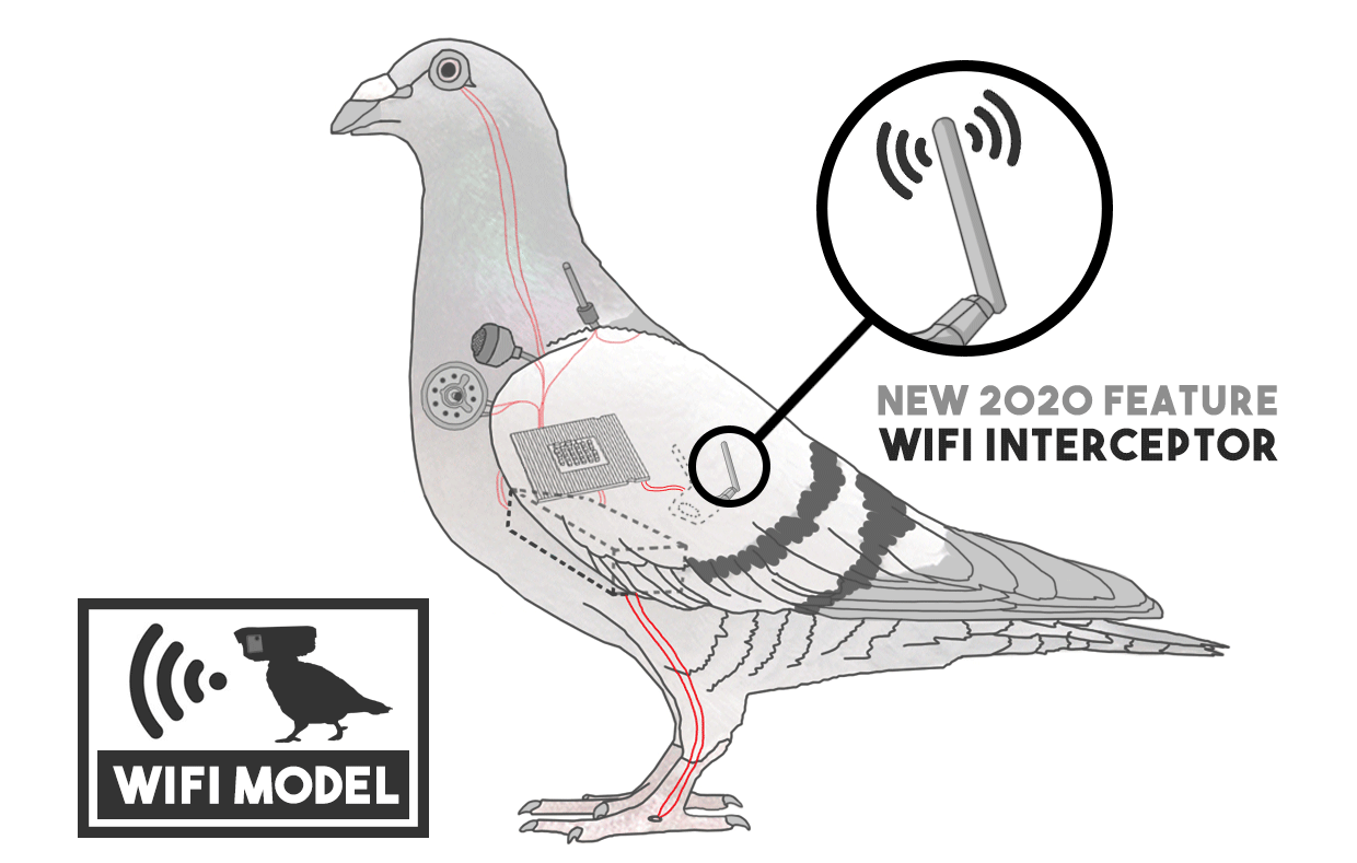 Wifi Pigeon Drone