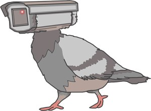 PAR Pigeon