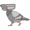pigeonsarentreal.co.uk-logo